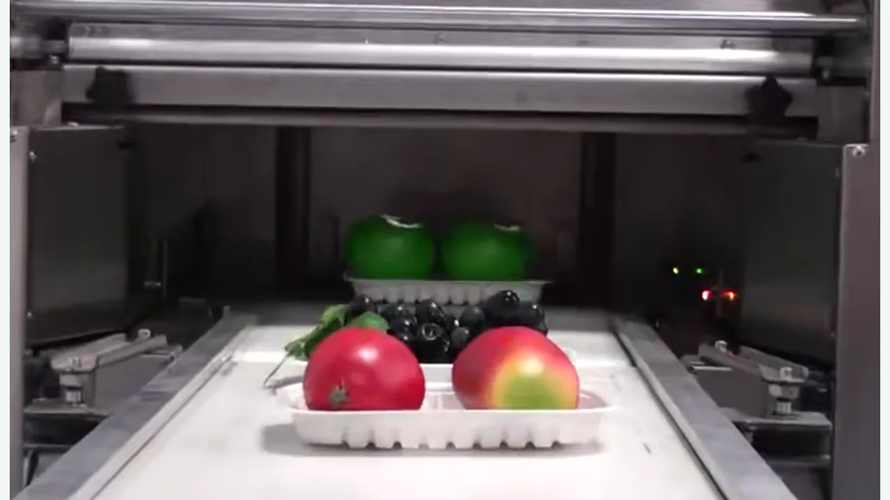 Fresh Tray Wrapping Conveying Operation Video