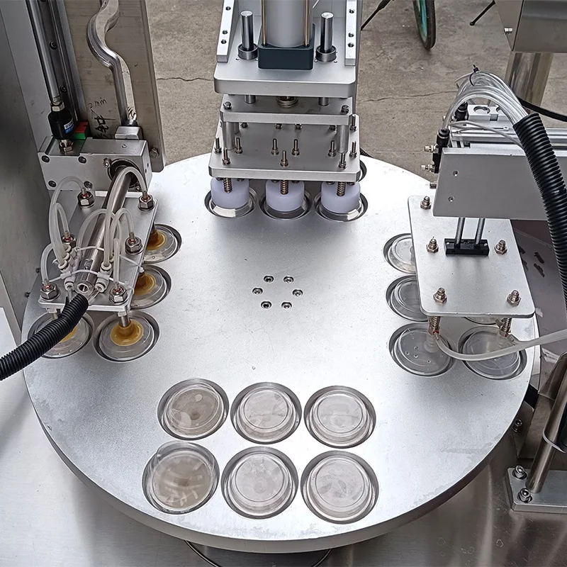 Close-up of turntable tray sealer carrier positioning and multi-station structure