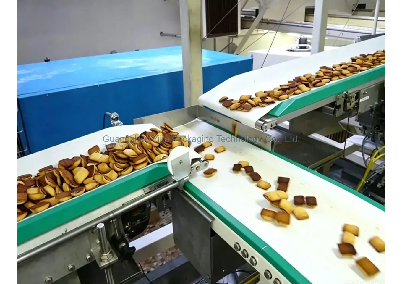 Food-grade conveyor line - Selection reference