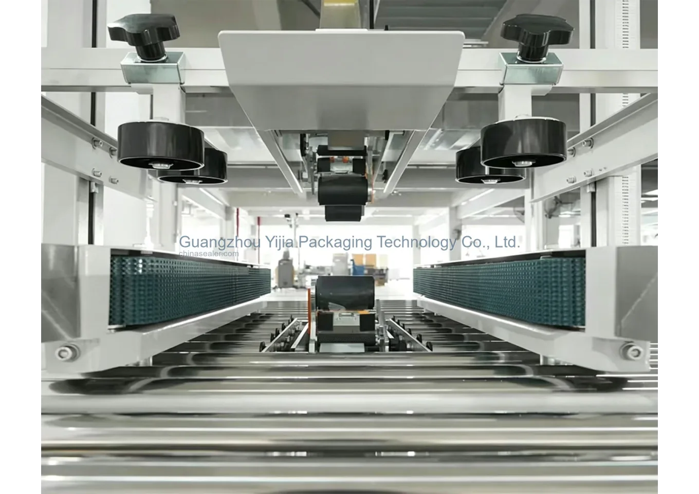 Carton Sealing and Outer Case Labeling Line Sample