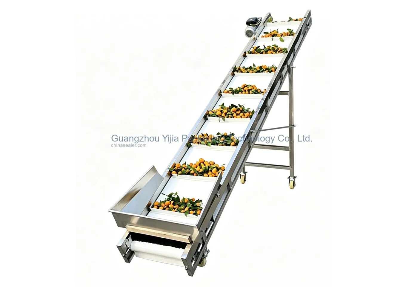 Food Grade Conveyor Line Sample