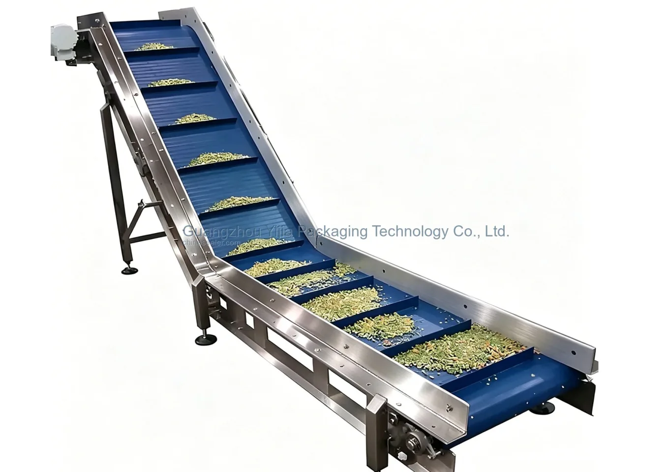 Food Grade Conveyor Line Sample