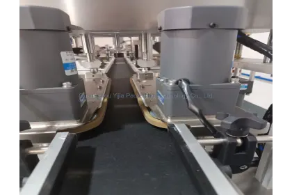 Automatic Screw Capping Machine - Selection Reference