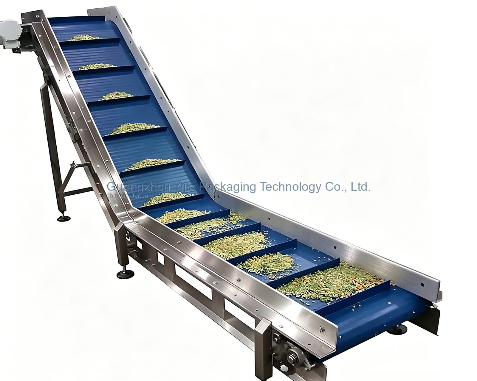 Food Grade Conveyor Line Sample