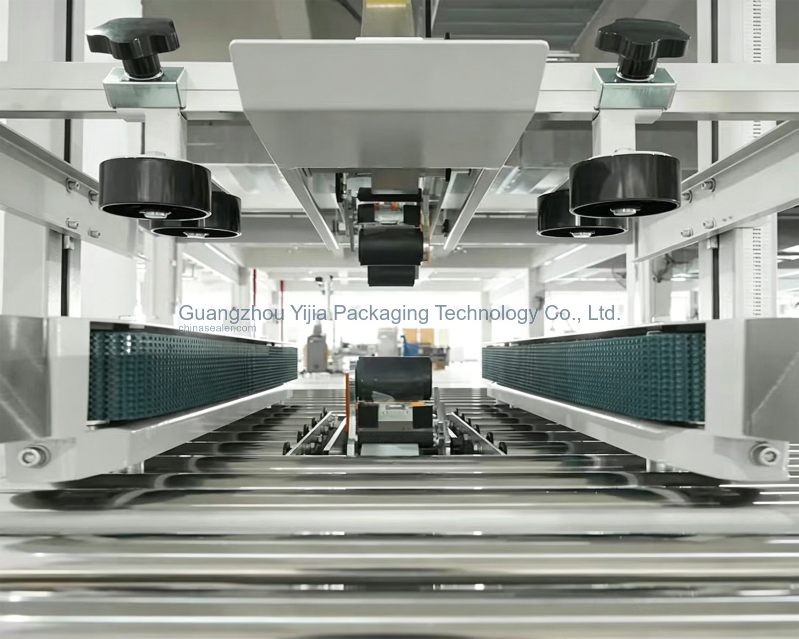 Carton Sealing and Outer Case Labeling Line Sample