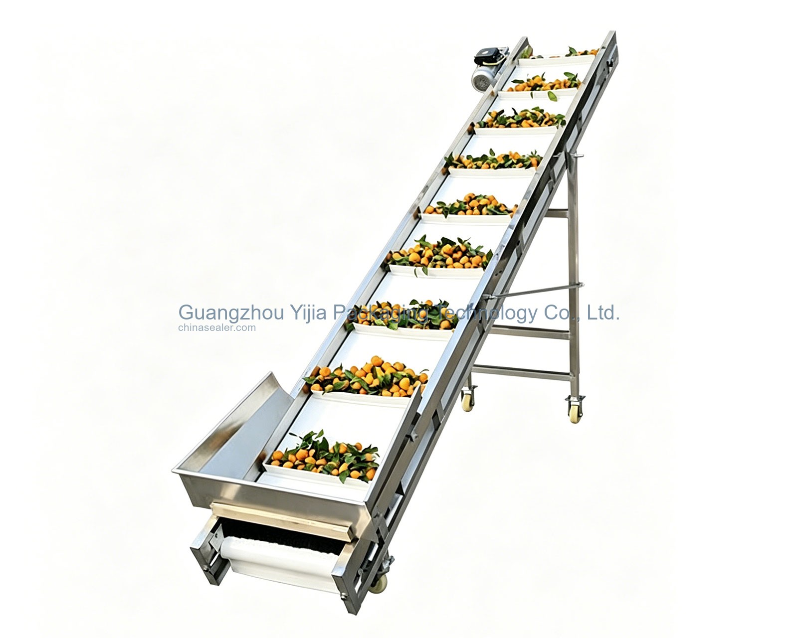 Food Grade Conveyor Line Sample