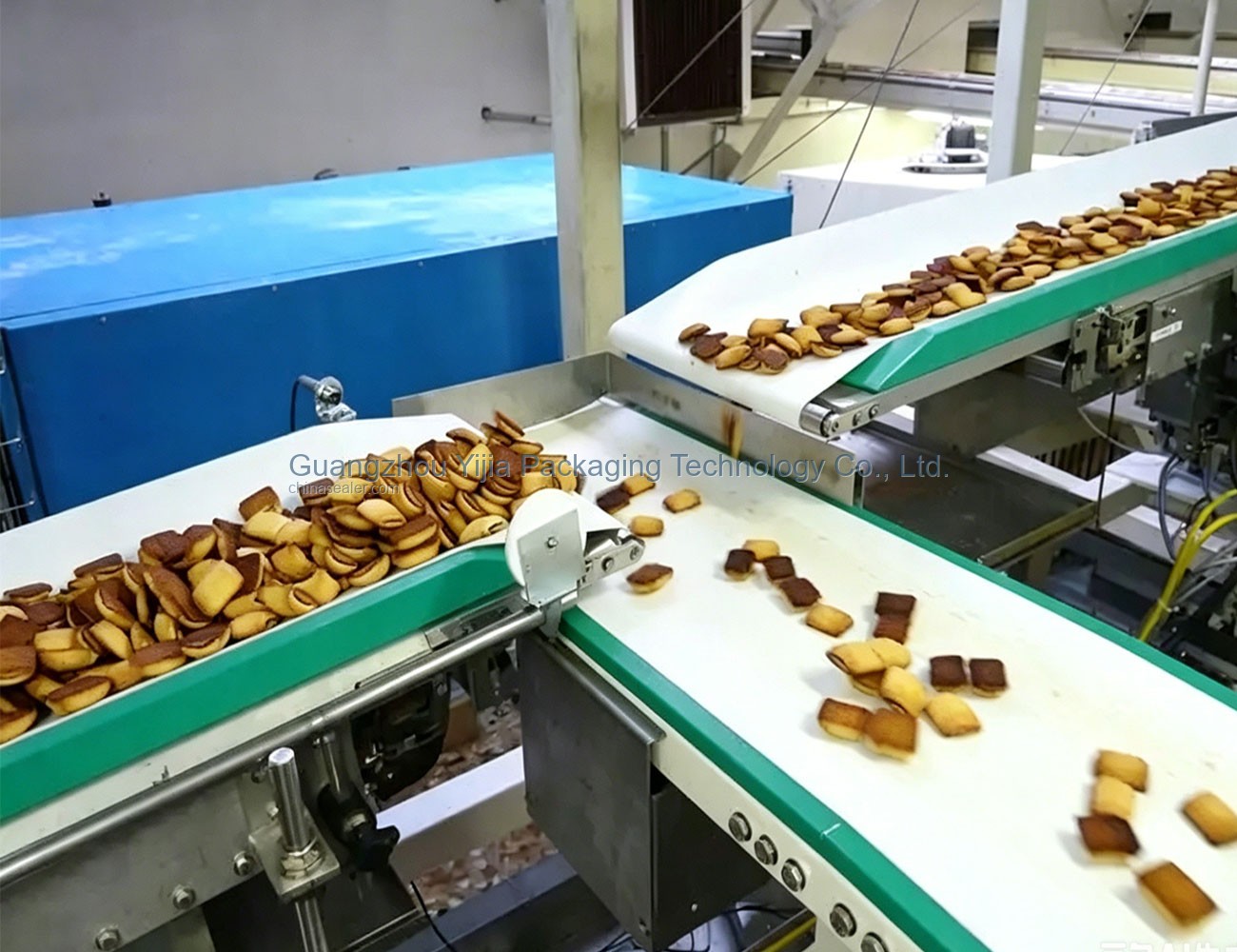 Food-grade conveyor line - Selection reference